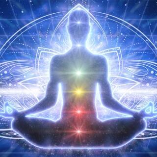 Chakra da Terra — raiz, sobrevivência e estabilidade